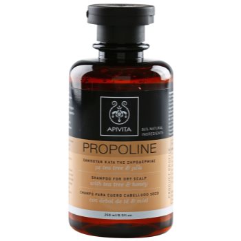 Apivita Holistic Hair Care Tea Tree & Honey шампунь для сухої шкіри голови зі свербінням 250 мл
Apivita Holistic Hair Care Tea Tree & Honey шампунь для сухої шкіри голови зі свербінням 250 мл