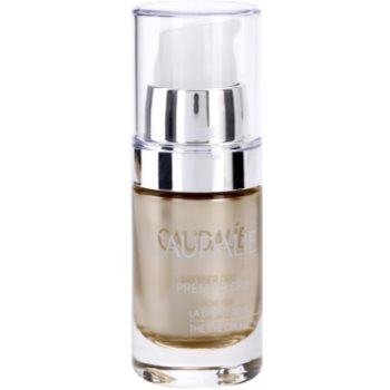 Caudalie Premier Cru зміцнюючий крем навколо очей проти набряків та темних кіл 15 мл
Caudalie Premier Cru зміцнюючий крем навколо очей проти набряків та темних кіл 15 мл
