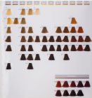 Goldwell Topchic barva za lase