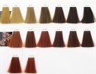 L’Oréal Professionnel Inoa ODS2 Hair Color