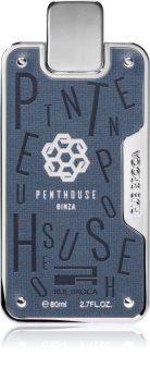 rue broca penthouse ginza
