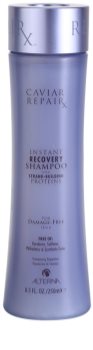 Alterna Caviar Repair Shampoo For Instant Regeneration