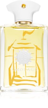Amouage Beach Hut Parfumovaná voda pre mužov 100 ml