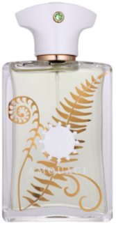 Amouage Bracken parfémovaná voda pro muže 100 ml