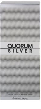Antonio Puig Quorum Silver toaletná voda pre mužov 100 ml
