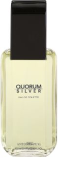 Antonio Puig Quorum Silver toaletná voda pre mužov 100 ml