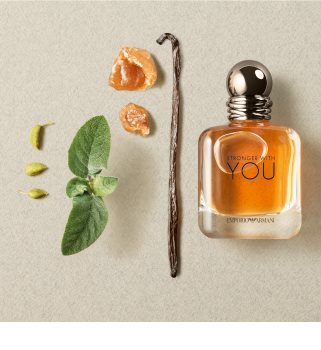 Armani Emporio Stronger With You eau de toilette pour homme 100 ml