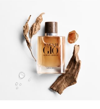 Armani Acqua di Giò Absolu parfemska voda za muškarce 125 ml
