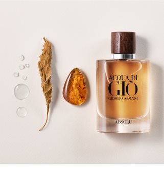 Armani Acqua di Giò Absolu parfemska voda za muškarce 125 ml
