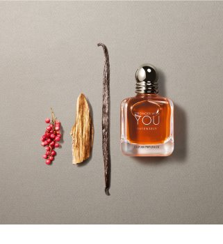 Armani Emporio Stronger With You Intensely eau de parfum para homens 100 ml
