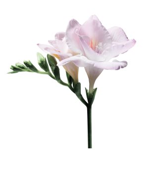 Armani Sun di Gioia eau de parfum pentru femei 100 ml
