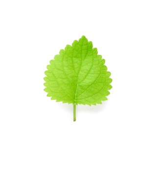 Armani Air di Gioia eau de parfum pentru femei 100 ml