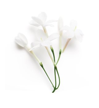Armani Sì Le Parfum perfumy dla kobiet 40 ml