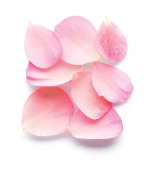 Armani Sì Rose Signature eau de parfum pour femme 50 ml