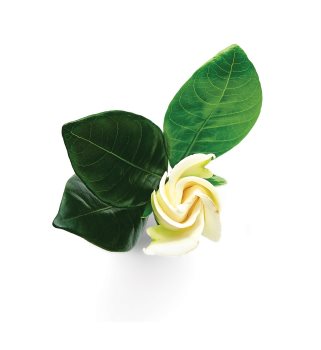 Armani Sun di Gioia eau de parfum pentru femei 100 ml