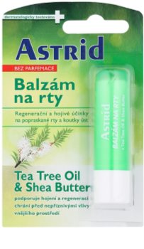 Astrid Lip Care regenerierender Lippenbalsam