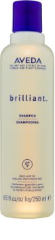 Aveda Brilliant Shampoo für chemisch behandeltes Haar