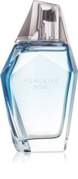 Avon Perceive Soul toaletná voda pre mužov 100 ml