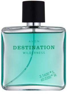 Avon Destination Wilderness Eau de Toilette voor Mannen 75 ml