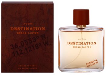 Avon Destination Grand Canyon Eau de Toillete για άνδρες 75 μλ