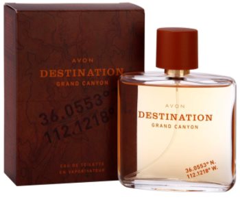 Avon Destination Grand Canyon Eau de Toillete για άνδρες 75 μλ