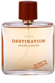 Avon Destination Grand Canyon Eau de Toillete για άνδρες 75 μλ