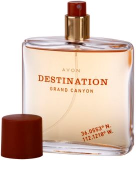 Avon Destination Grand Canyon Eau de Toillete για άνδρες 75 μλ