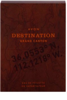 Avon Destination Grand Canyon Eau de Toillete για άνδρες 75 μλ