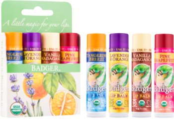 Badger Classic Green kit di cosmetici II.