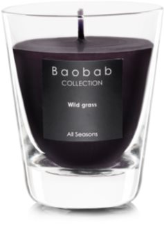 Baobab Wild Grass duftkerze (Votiv-) 6,5 cm