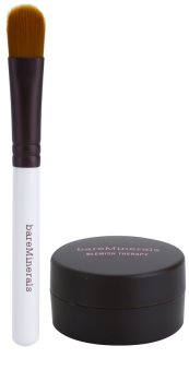 BareMinerals Treat korrekciós púder a bőr tökéletlenségei ellen ecsettel