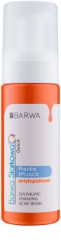 Barwa Sulphur Quick Washing Foam for Problematic Skin