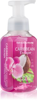 Bath & Body Works Caribbean Escape Foaming Hand Soap