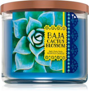 Bath & Body Works Baja Cactus Blossom Duftkerze 411 g