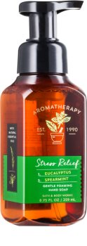 Bath & Body Works Stress Relief Eukalyptus Spearmint Sapun spuma pentru maini