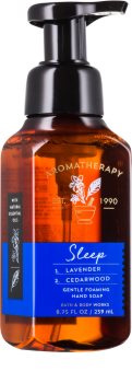 Bath & Body Works Sleep Foaming Hand Soap