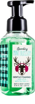 Bath & Body Works Sparkling Mint Blossom Foaming Hand Soap