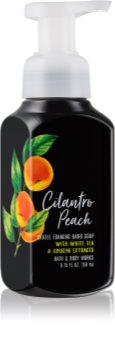 Bath & Body Works Cilantro Peach Foaming Hand Soap