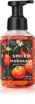 Bath & Body Works Spiced Mandarin Foaming Hand Soap
