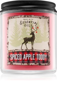 Bath & Body Works Spiced Apple Toddy Duftkerze 198 g II.