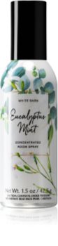 Bath & Body Works Eucalyptus Mint Raumspray 42,5 g I.