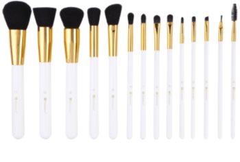BH Cosmetics Signature set perii machiaj