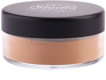 BH Cosmetics Studio Pro pudra