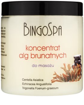 BingoSpa Algae Massagekonzentrat aus Braunalgen