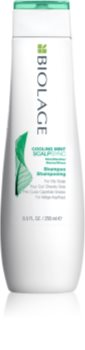 Biolage Essentials ScalpSync șampon pentru par gras