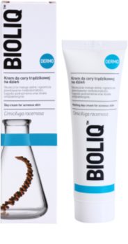 Bioliq Dermo Day Cream for Acne Skin