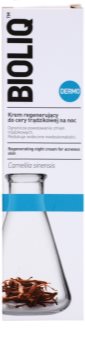 Bioliq Dermo Regenerating Night Cream For Acne Skin