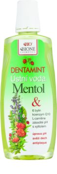 Bione Cosmetics Dentamint ústna voda