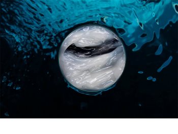 Biotherm Life Plankton maseczka kojąca i regenerująca
