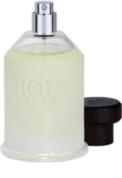 Bois 1920 Agrumi Amari di Sicilia toaletní voda unisex 100 ml